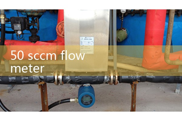 50 sccm flow meter